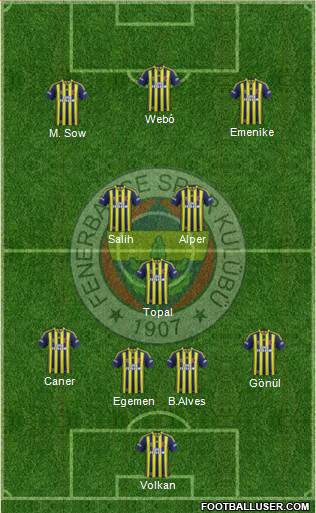 Fenerbahçe SK Formation 2013