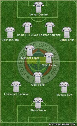 Fenerbahçe SK Formation 2013