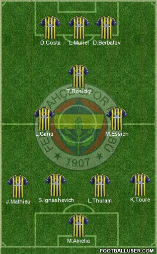 Fenerbahçe SK Formation 2013