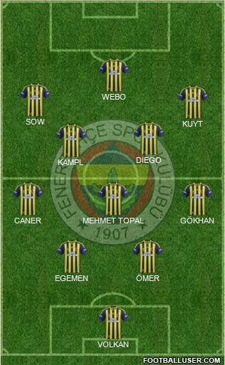 Fenerbahçe SK Formation 2013
