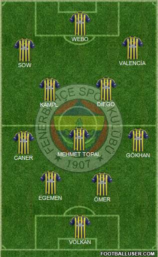 Fenerbahçe SK Formation 2013