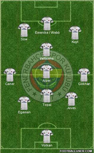 Fenerbahçe SK Formation 2013