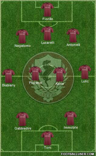 Arezzo Formation 2013