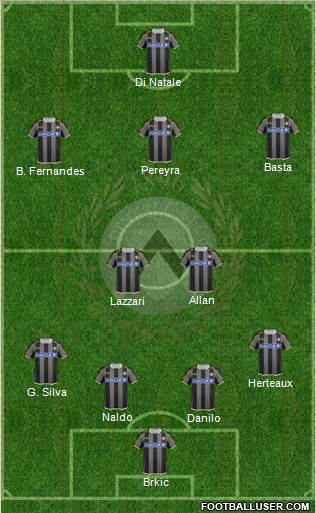 Udinese Formation 2013