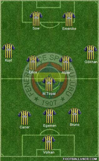 Fenerbahçe SK Formation 2013