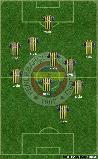 Fenerbahçe SK Formation 2013