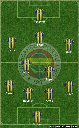 Fenerbahçe SK Formation 2013