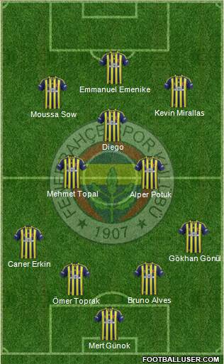 Fenerbahçe SK Formation 2013
