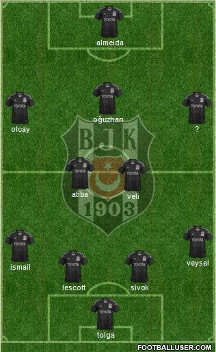 Besiktas JK Formation 2013