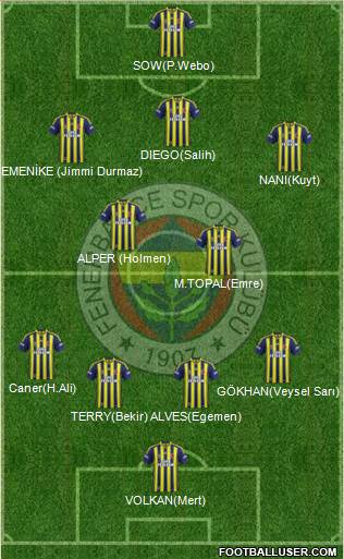 Fenerbahçe SK Formation 2013