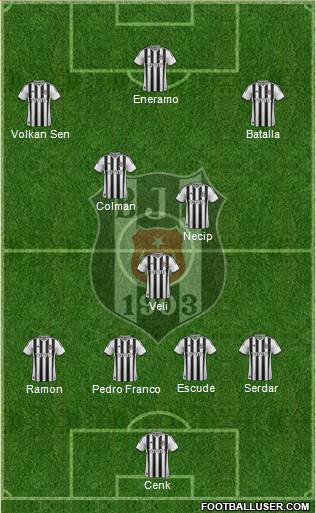 Besiktas JK Formation 2013