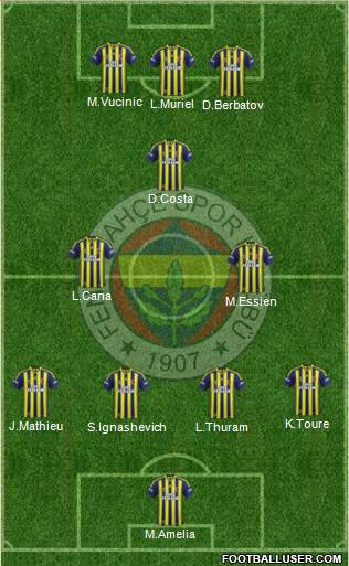 Fenerbahçe SK Formation 2013