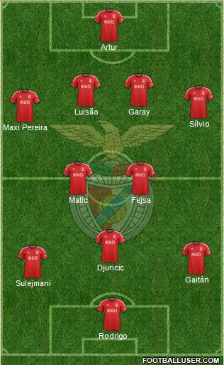 Sport Lisboa e Benfica - SAD Formation 2013