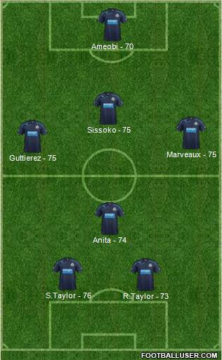 Newcastle United Formation 2013