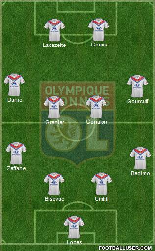 Olympique Lyonnais Formation 2013