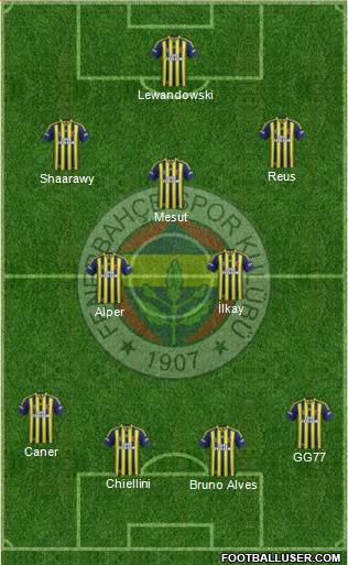 Fenerbahçe SK Formation 2013