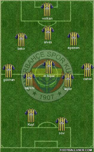 Fenerbahçe SK Formation 2013