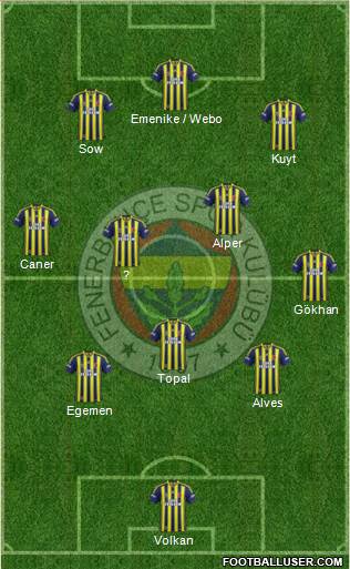 Fenerbahçe SK Formation 2013