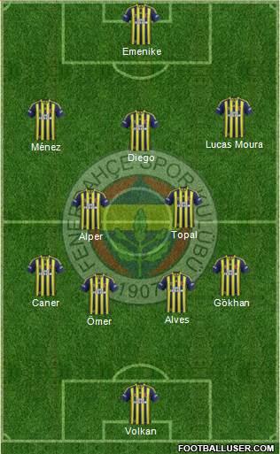 Fenerbahçe SK Formation 2013