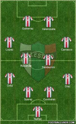 CD Palestino S.A.D.P. Formation 2013