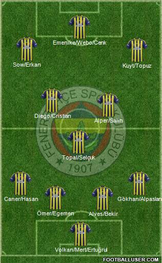 Fenerbahçe SK Formation 2013
