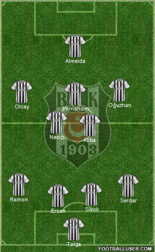 Besiktas JK Formation 2013