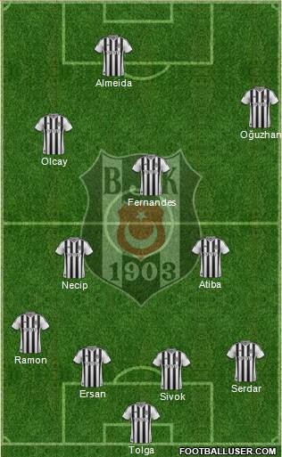 Besiktas JK Formation 2013