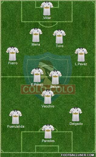 CSD Colo Colo Formation 2013