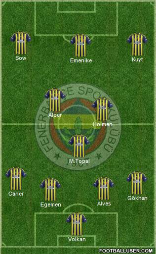Fenerbahçe SK Formation 2013