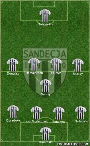 Sandecja Nowy Sacz Formation 2013