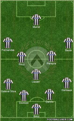 Udinese Formation 2013