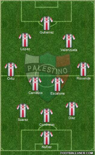 CD Palestino S.A.D.P. Formation 2013