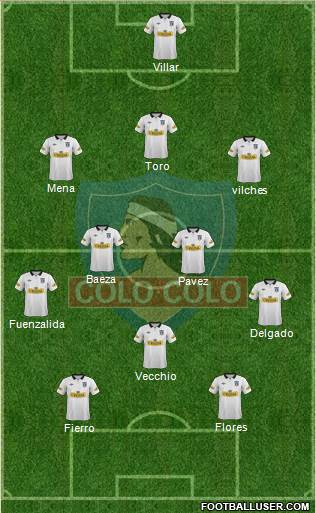 CSD Colo Colo Formation 2013