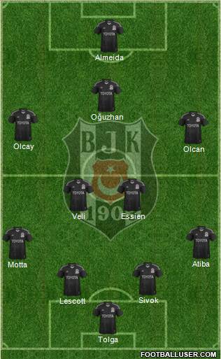 Besiktas JK Formation 2013