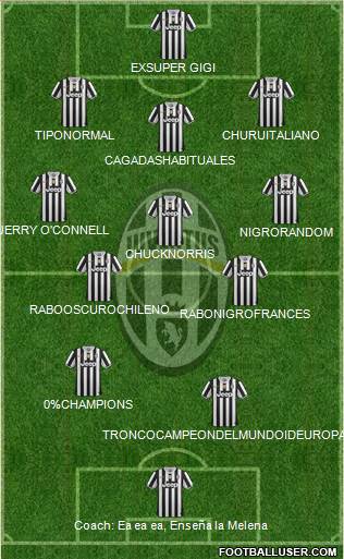 Juventus Formation 2013