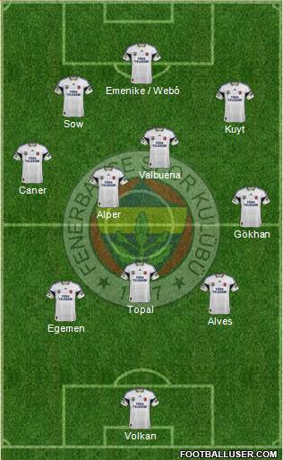 Fenerbahçe SK Formation 2013