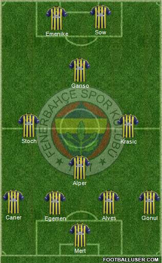 Fenerbahçe SK Formation 2013