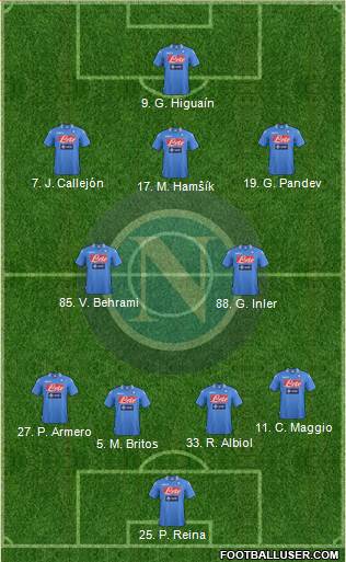 Napoli Formation 2013