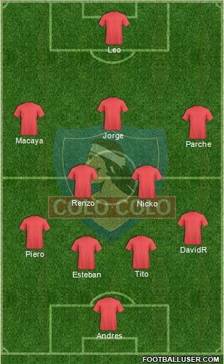CSD Colo Colo Formation 2013