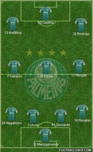 SE Palmeiras Formation 2013