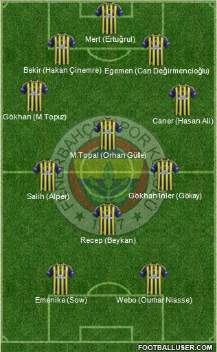 Fenerbahçe SK Formation 2013
