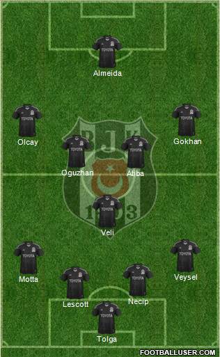 Besiktas JK Formation 2013