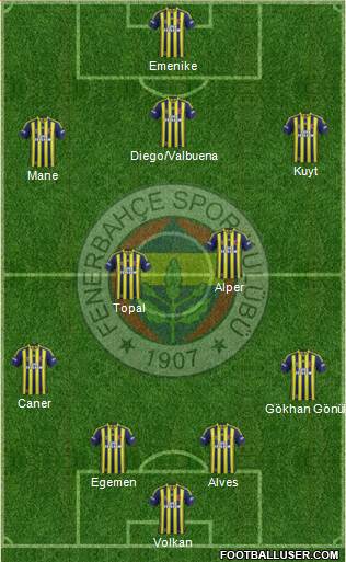 Fenerbahçe SK Formation 2013