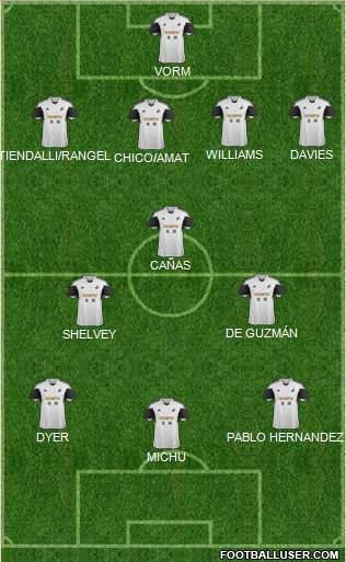 Swansea City Formation 2013