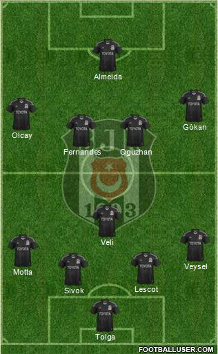 Besiktas JK Formation 2013