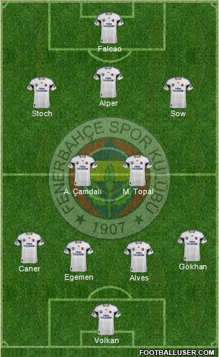 Fenerbahçe SK Formation 2013