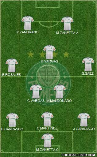 SE Palmeiras Formation 2013