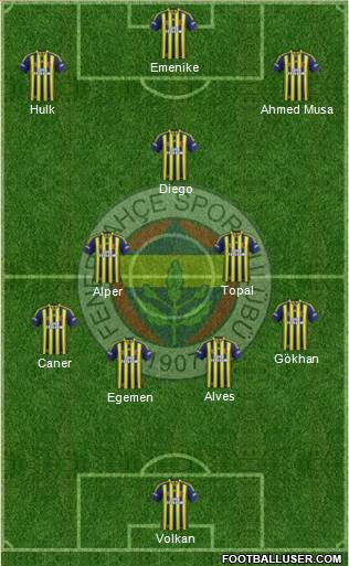 Fenerbahçe SK Formation 2013