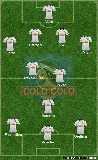 CSD Colo Colo Formation 2013