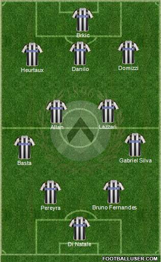 Udinese Formation 2013